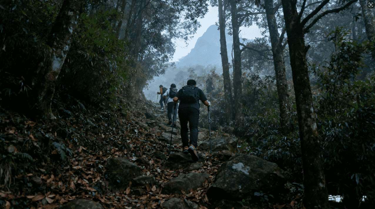 蜜蜂加速器免费版云盘功能全方位体验
